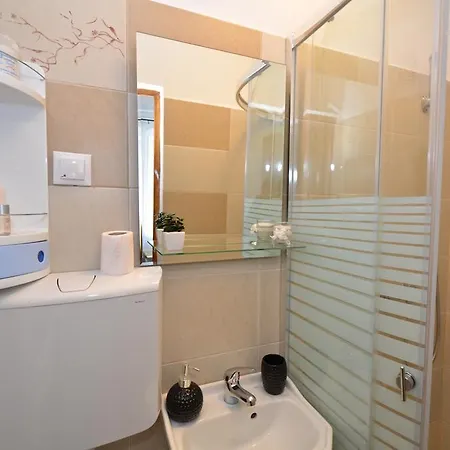Apartment Ama Center Brasov